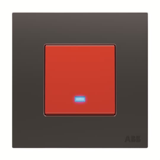 AM17744-SB DP premium switch w/LED 1G