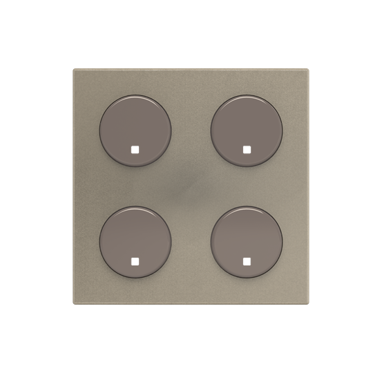 SR-4-N2CV - Cover plate - free@home 2-gang sensors - 2M - Champagne