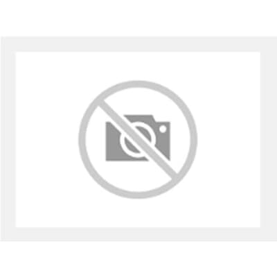 Tamper resistant screw SM4x25