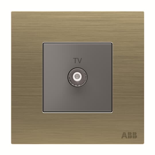 AM30144-AG TV outlet 1G