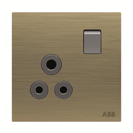 AM20986-AG BS DP round pi sw.outlet