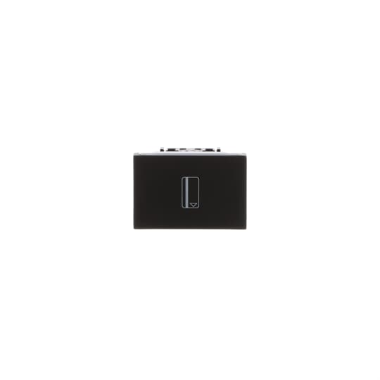 Card switch with LED exchangeable Anthracite - Zenit